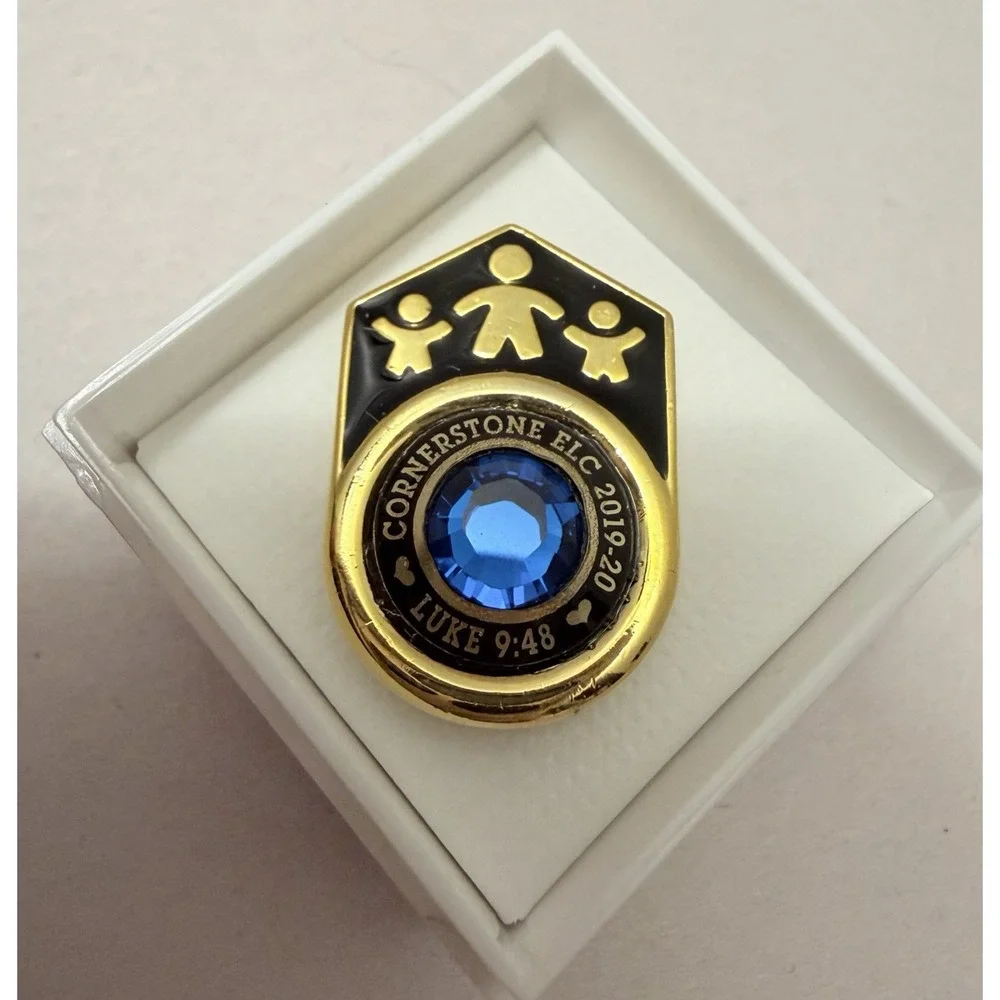 Award Pins LOT 11 Teacher Student Excellence Recognition Children First NEW Box